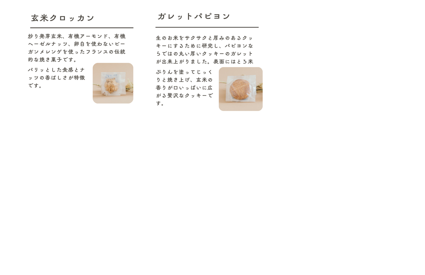 パピヨン冬の焼き菓子ギフト