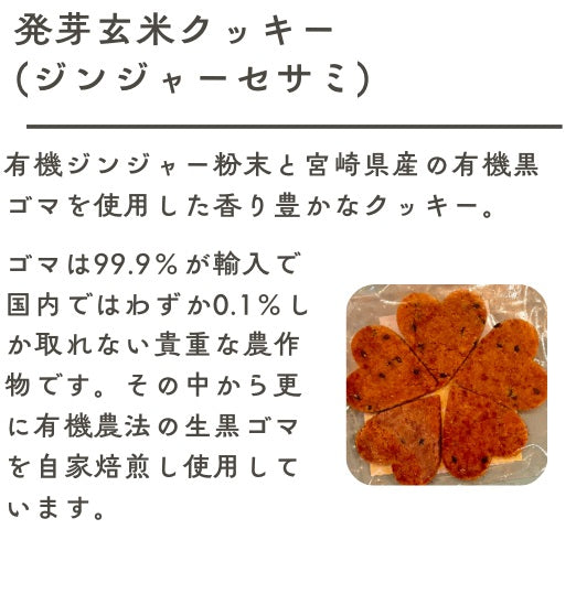 夏の焼き菓子セット(送料込み)