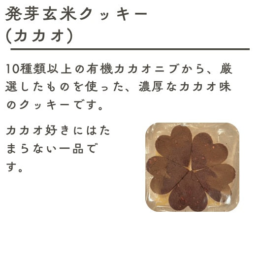 夏の焼き菓子セット（送料込み)